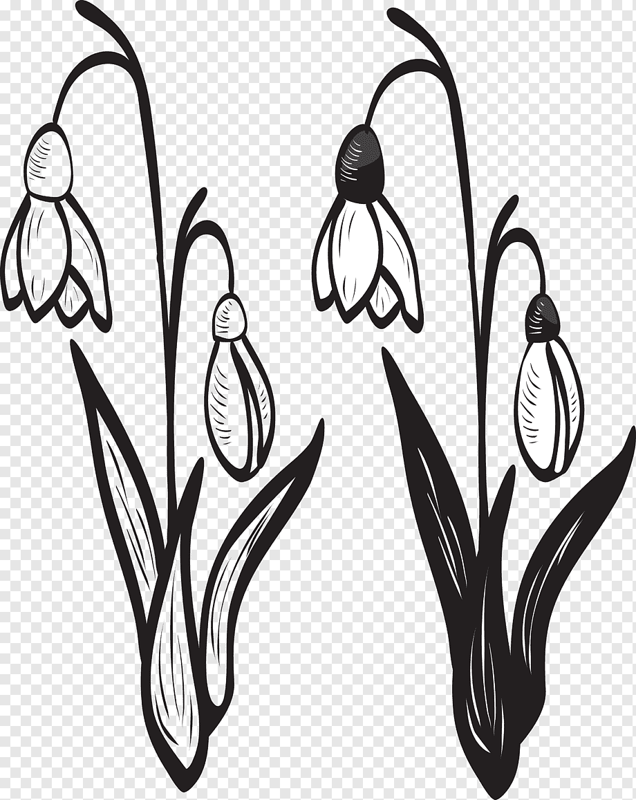 Подснежник иконка