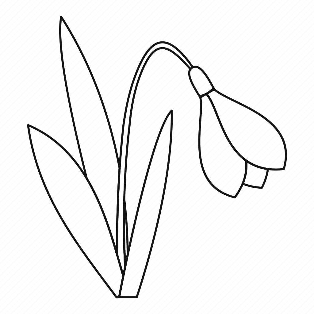 Раскраска подснежники для детей 3-4 лет