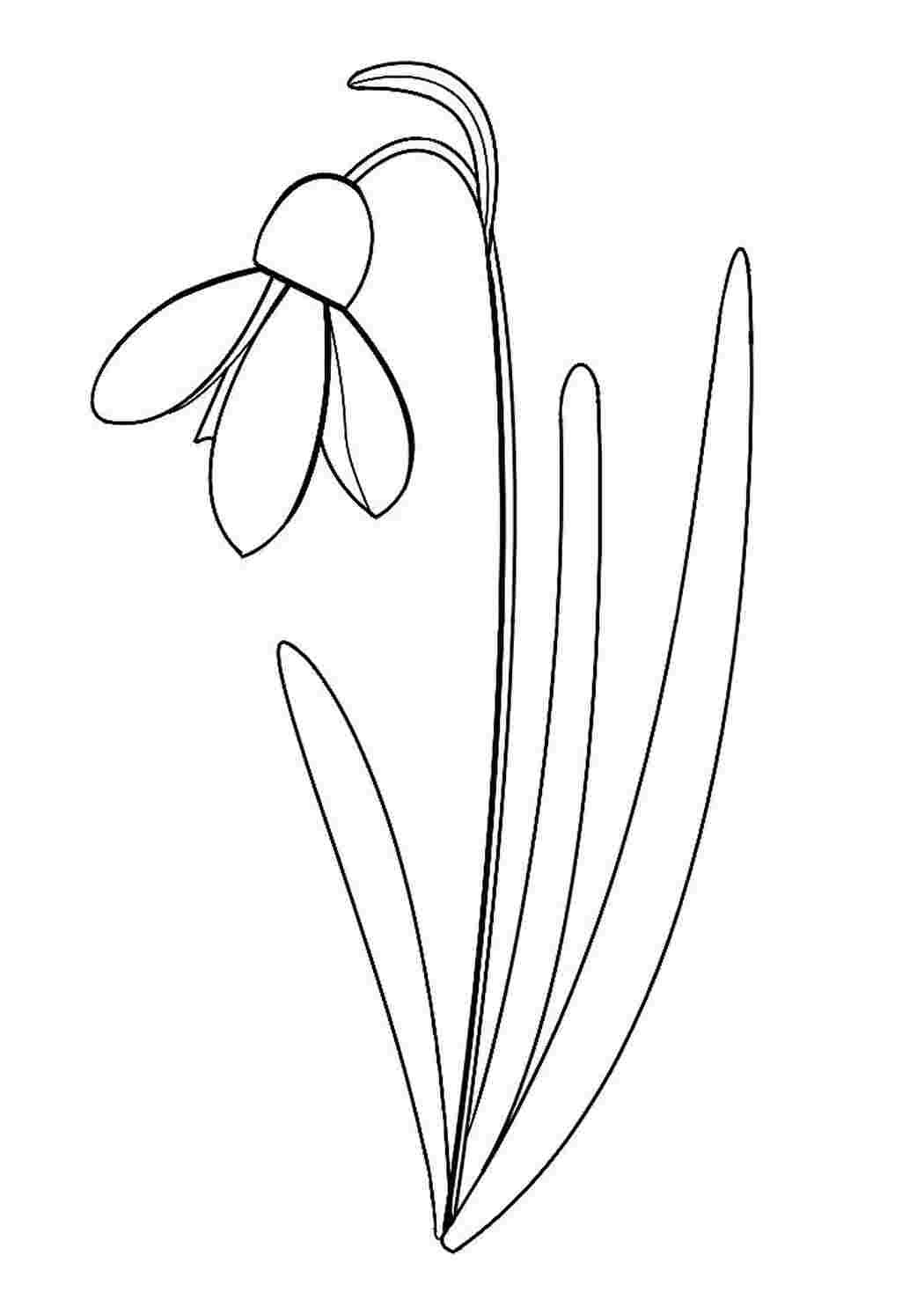 Разукрашка Мэрцишор