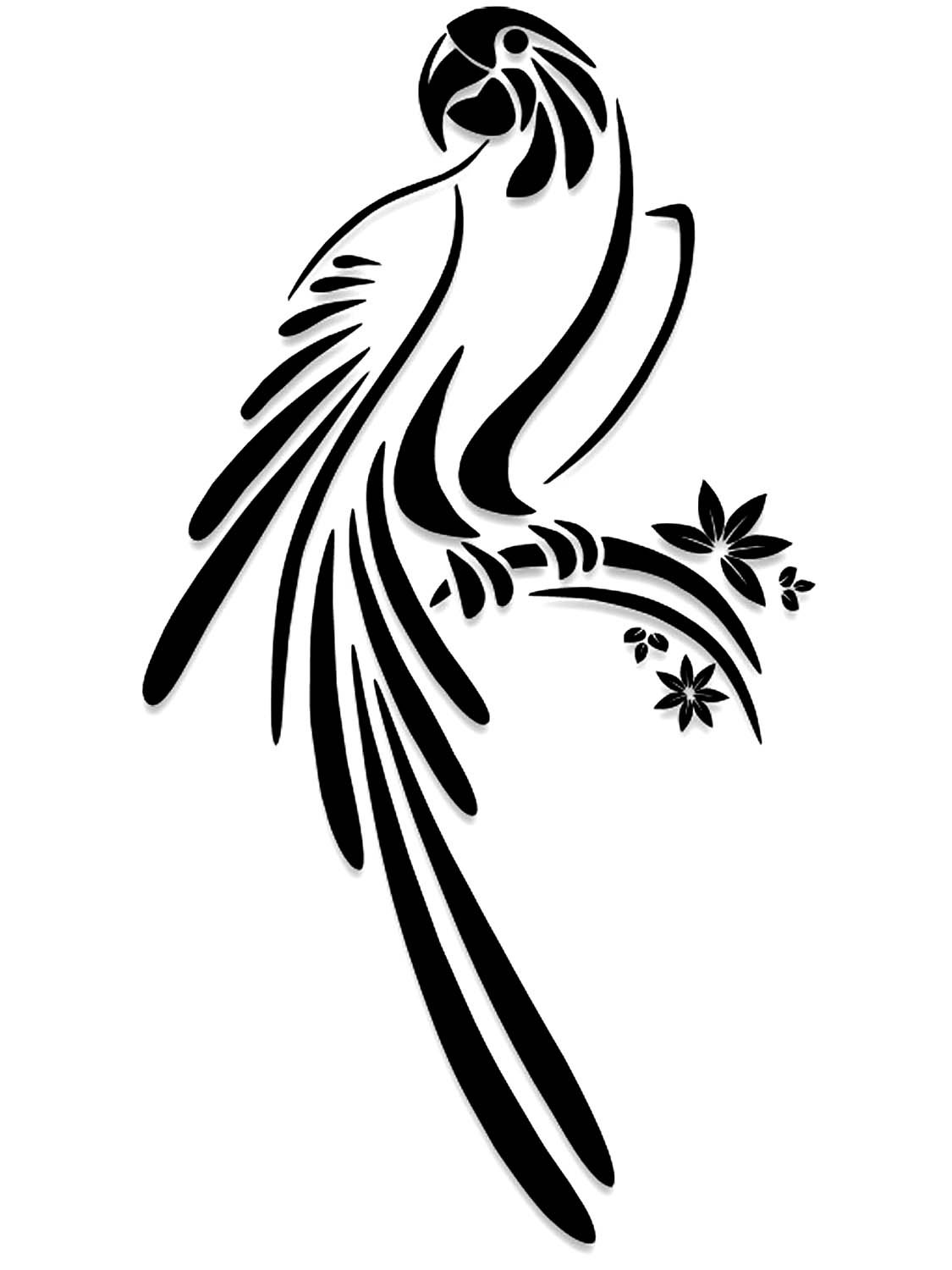 Раскраска попугай жако