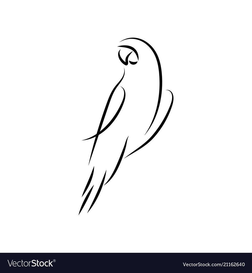 Попугай раскраска для детей