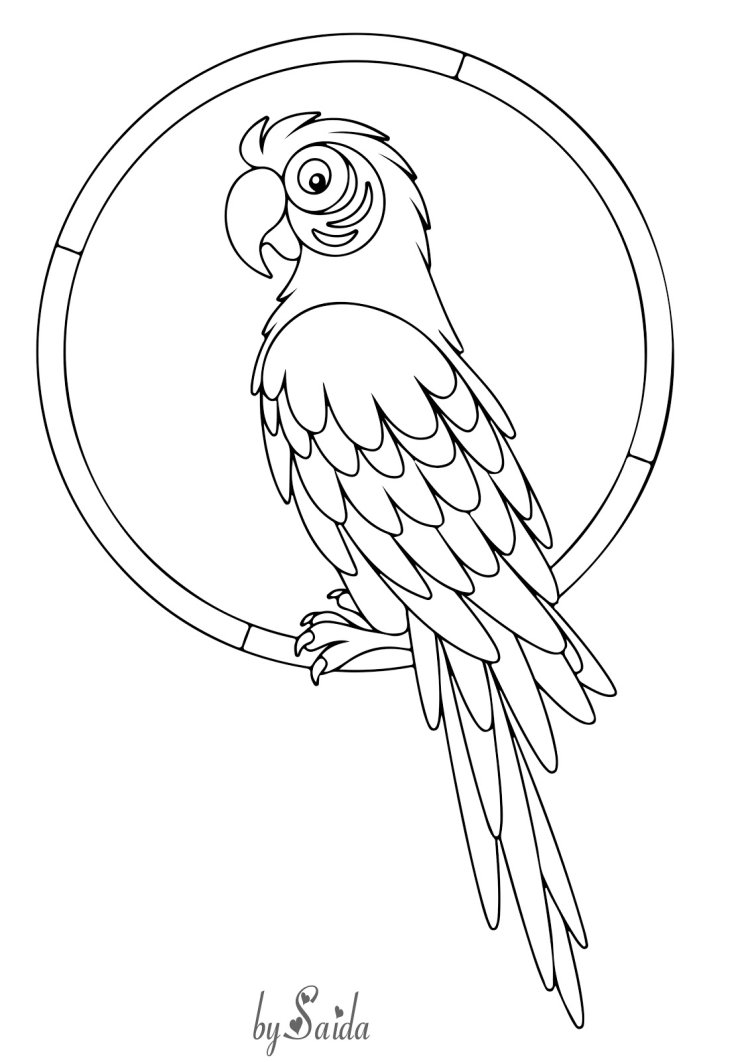 Попугай шаблон для вырезания