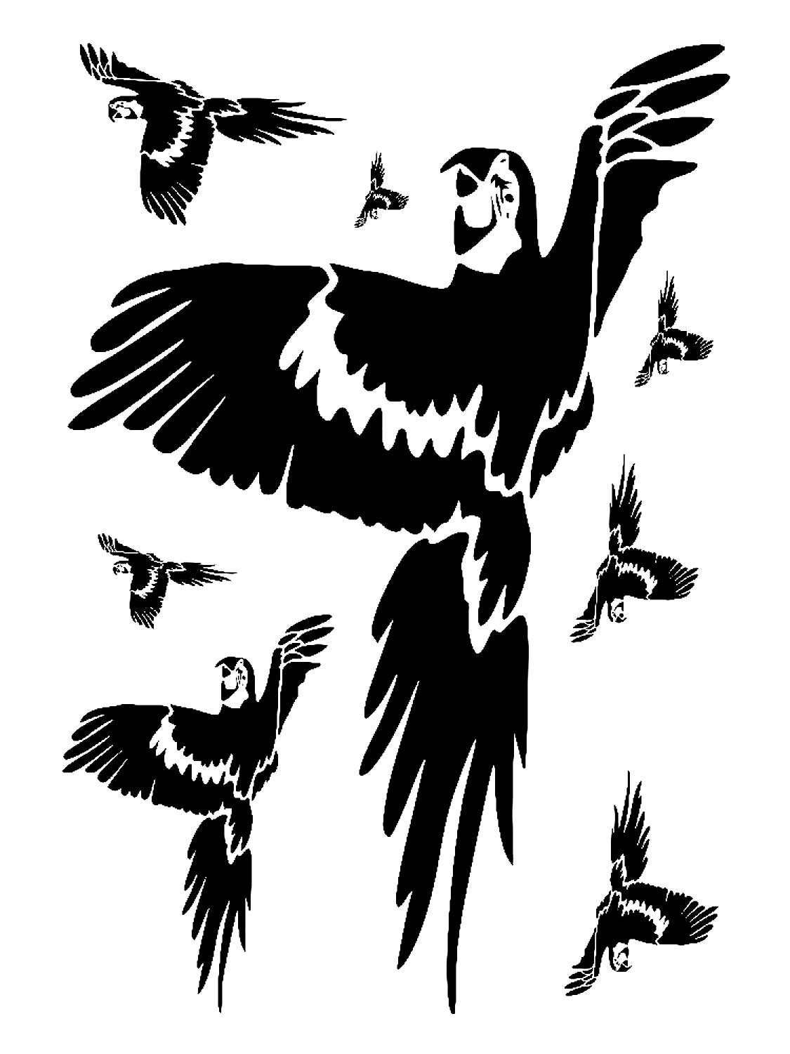 Попугай неразлучник трафарет