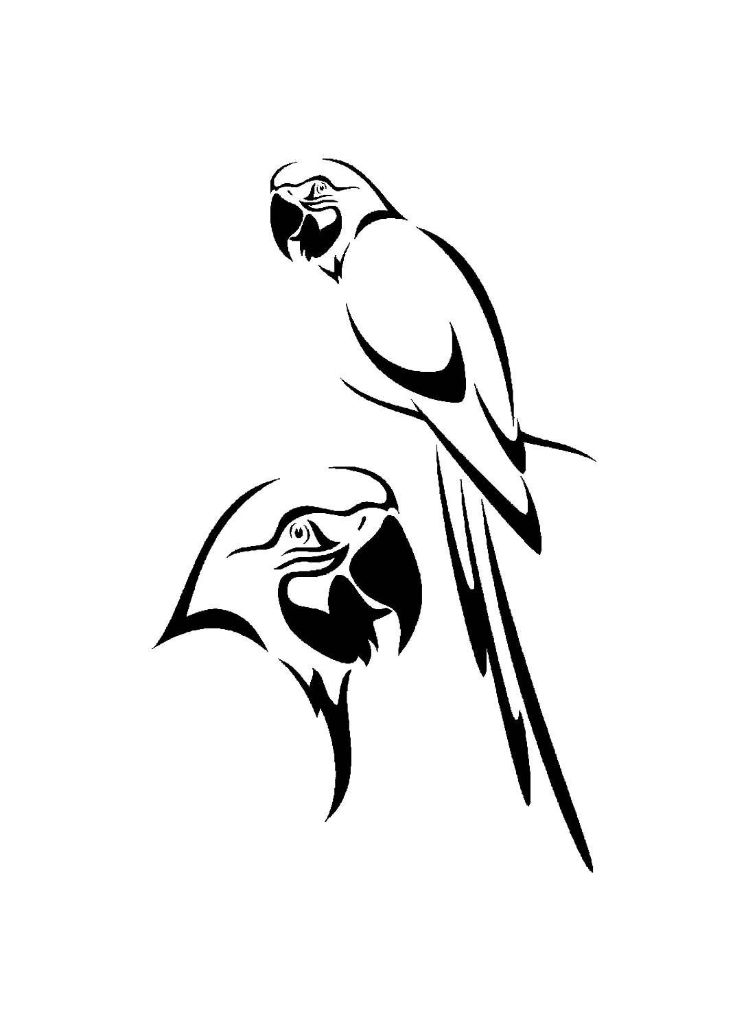 Раскраска цветы и птицы