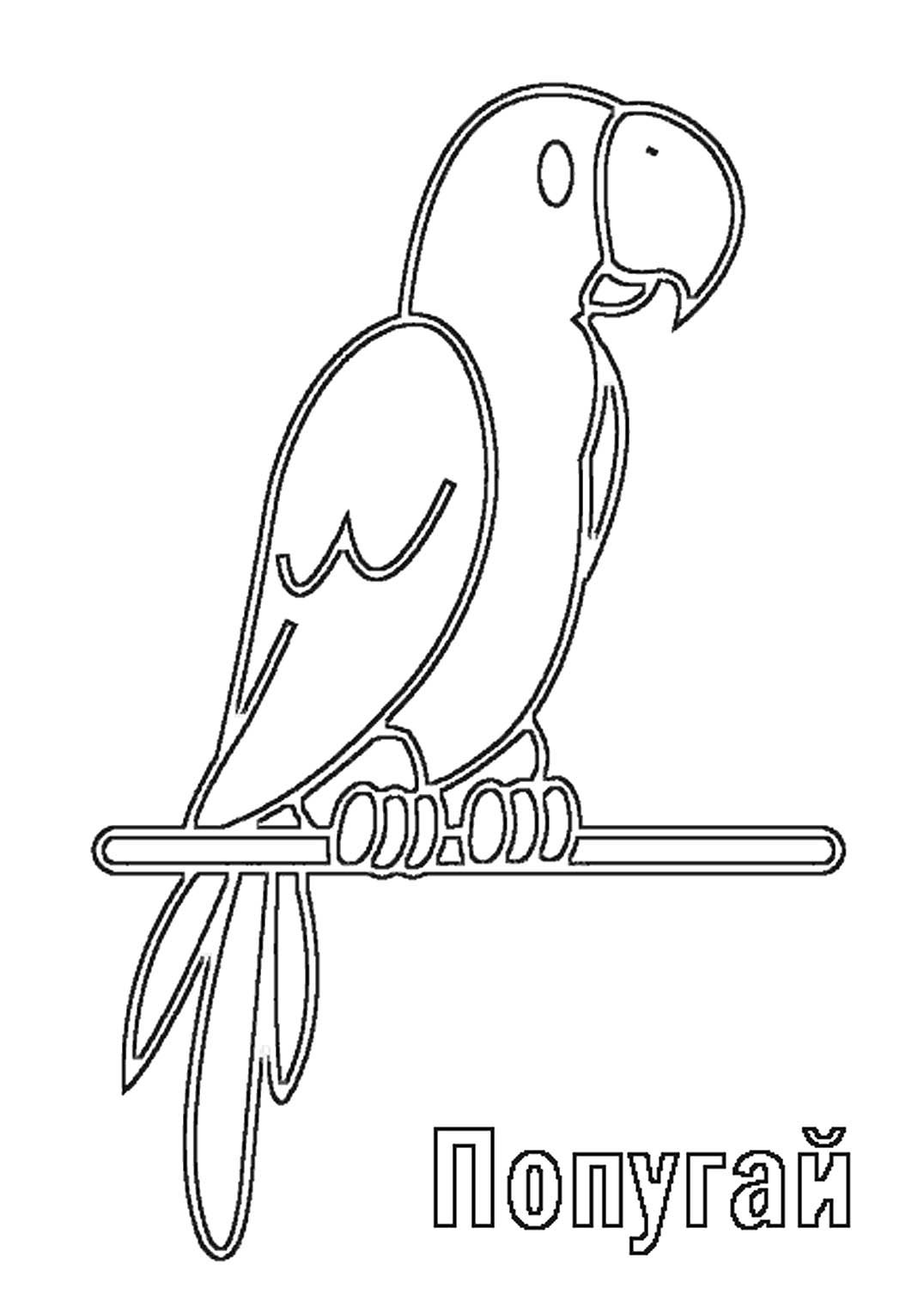 Попугай трафарет для детей
