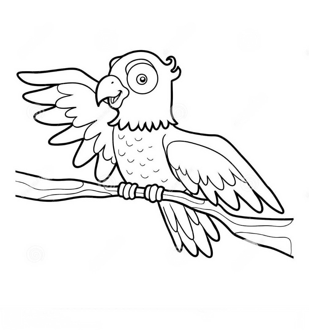 Какаду раскраска для детей