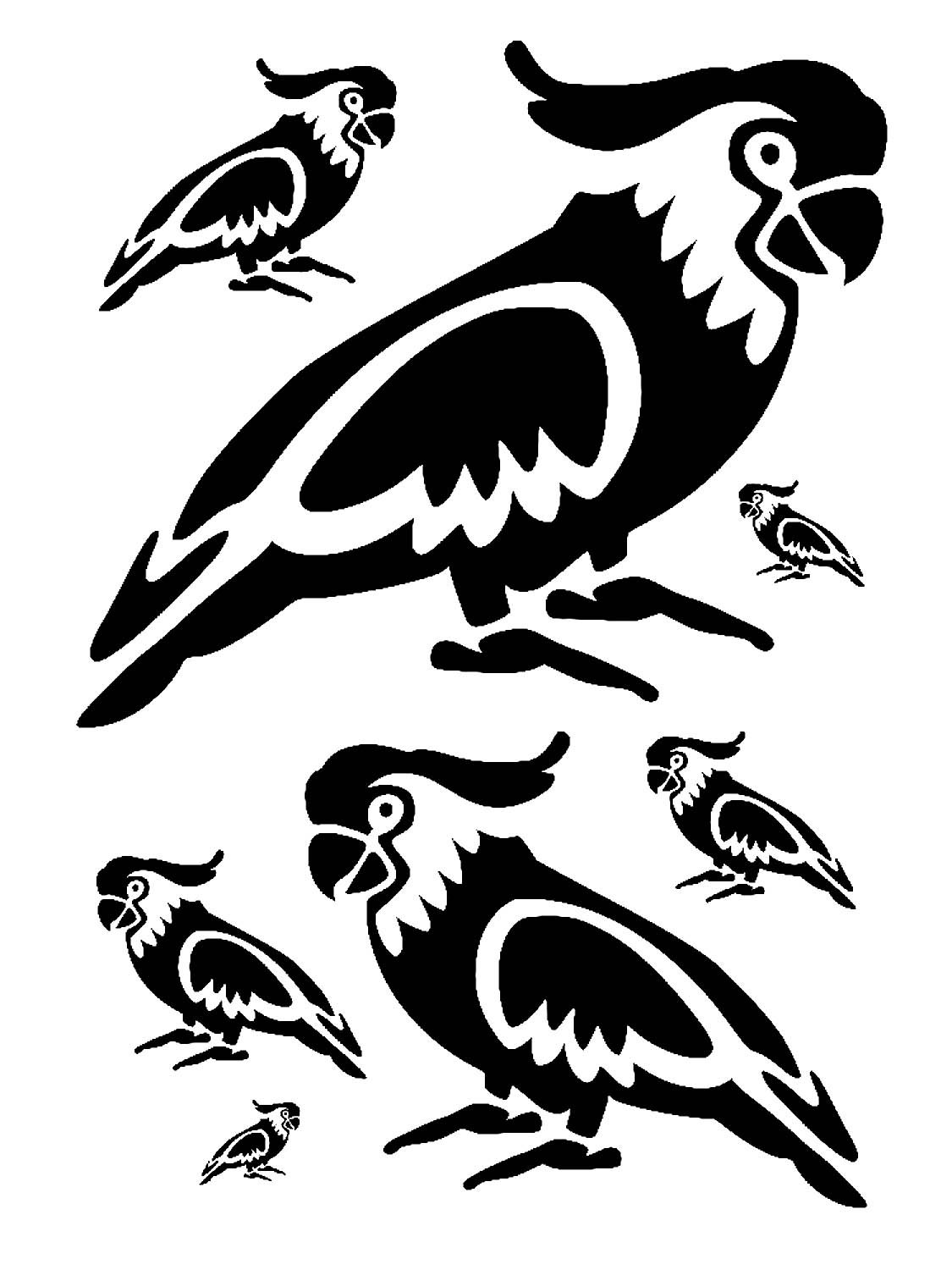 Раскраска попугай