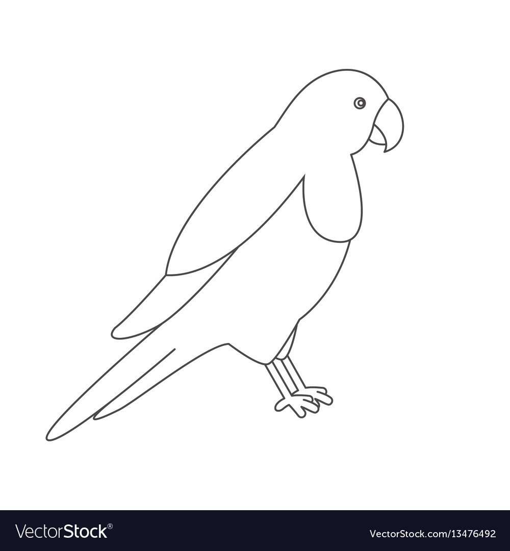 Удод раскраска для детей