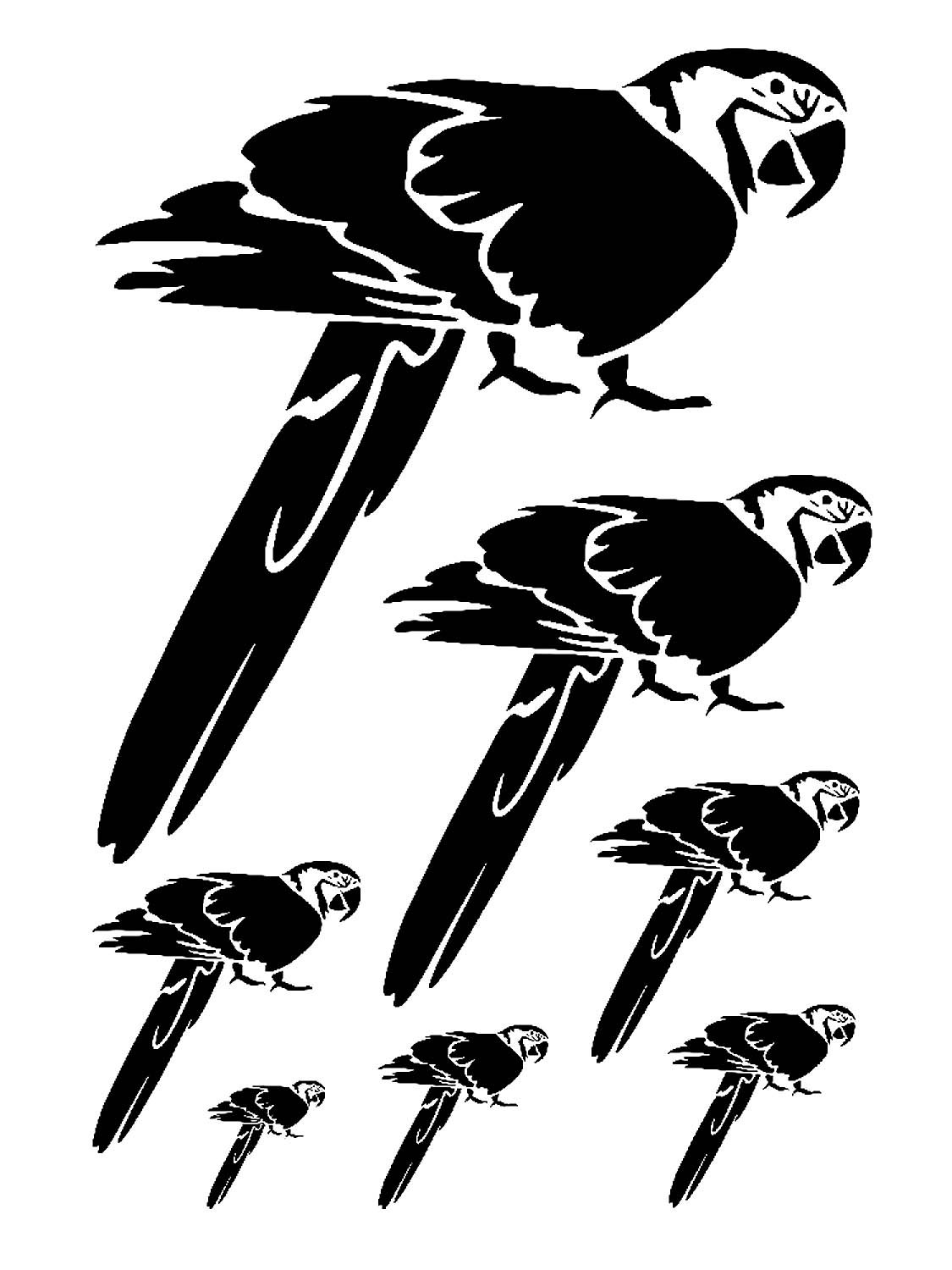 Попугай трафарет
