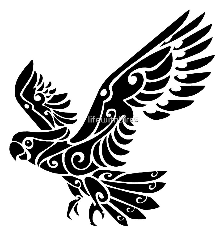 Раскраска попугай