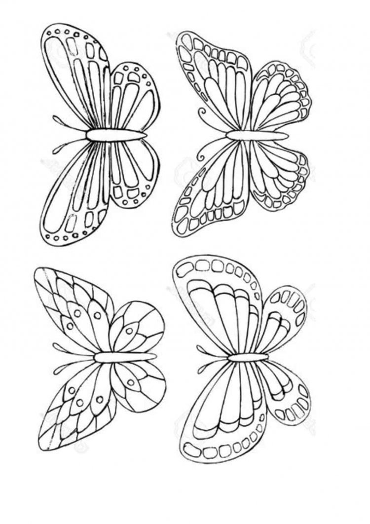 Хамелеоны. Раскраска