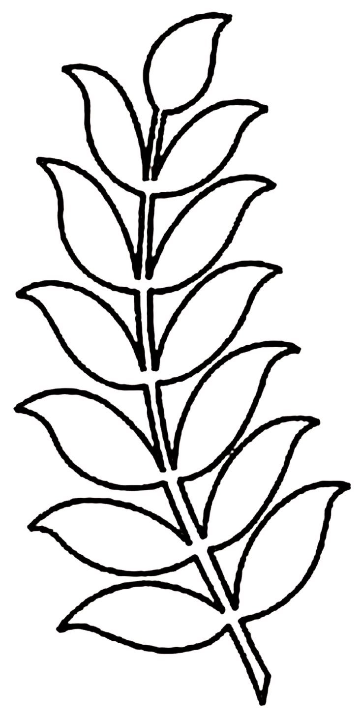 Трафарет листочки для цветов