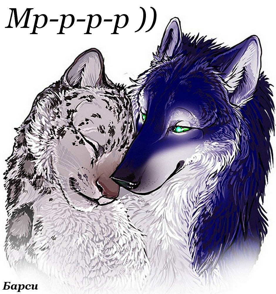 Снежный Барс и волк