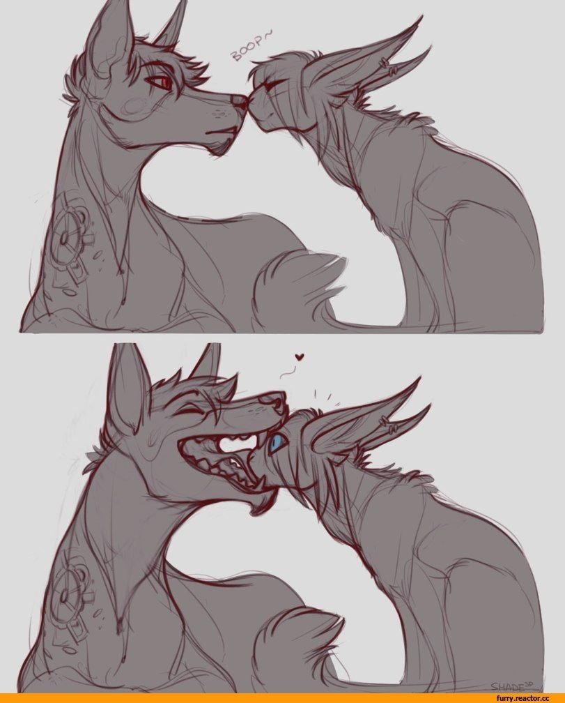 Ферал волк референс