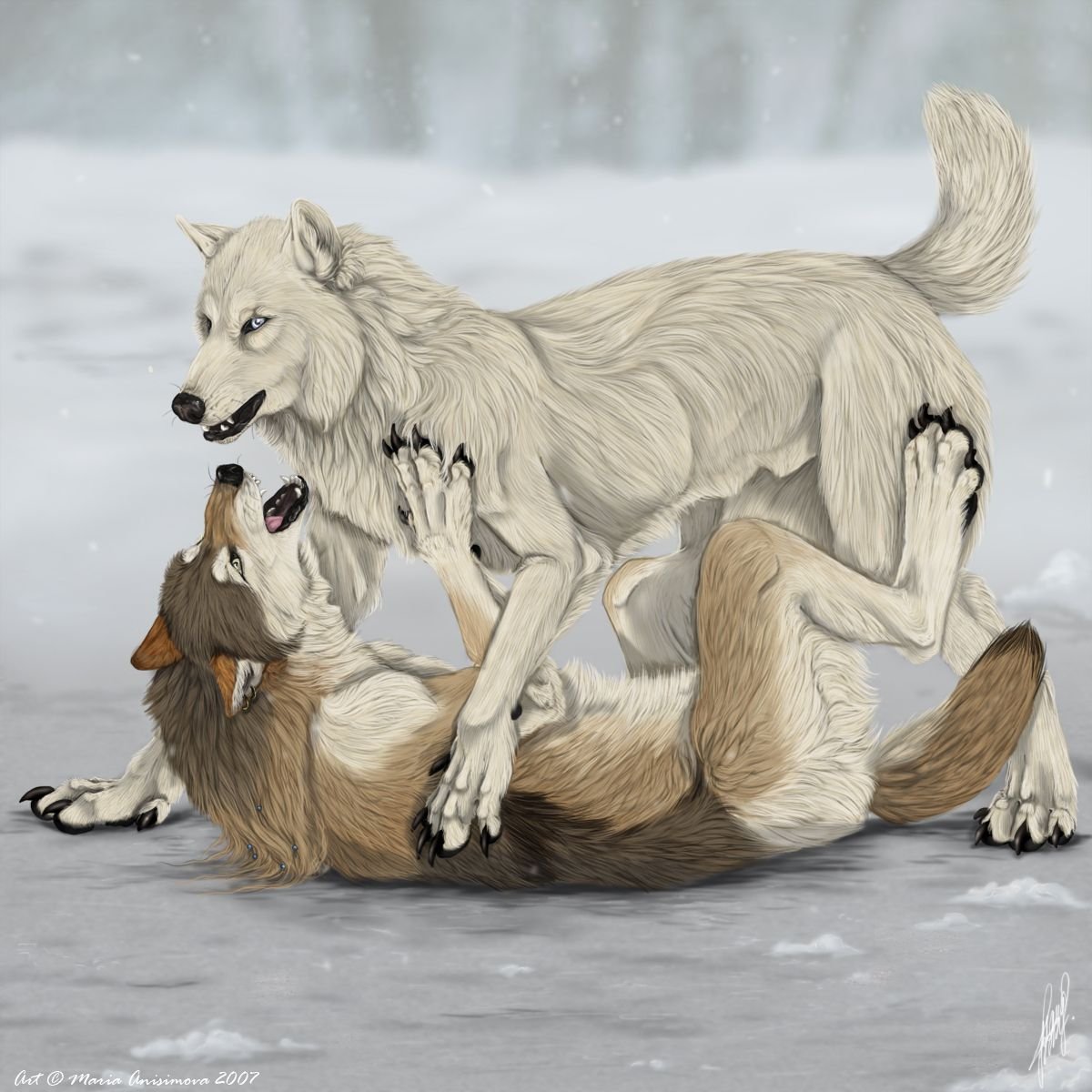 Волк и волчица арт