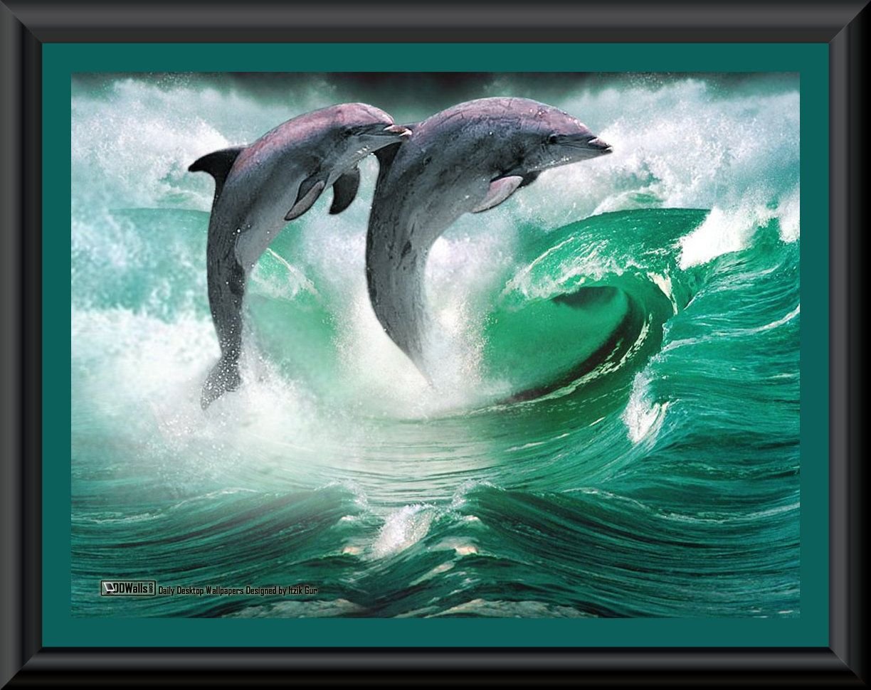 Дельфины уплывают в океан слушать. Дельфины в море. Дельфин на волне. Дельфины на волне. Пара дельфинов.
