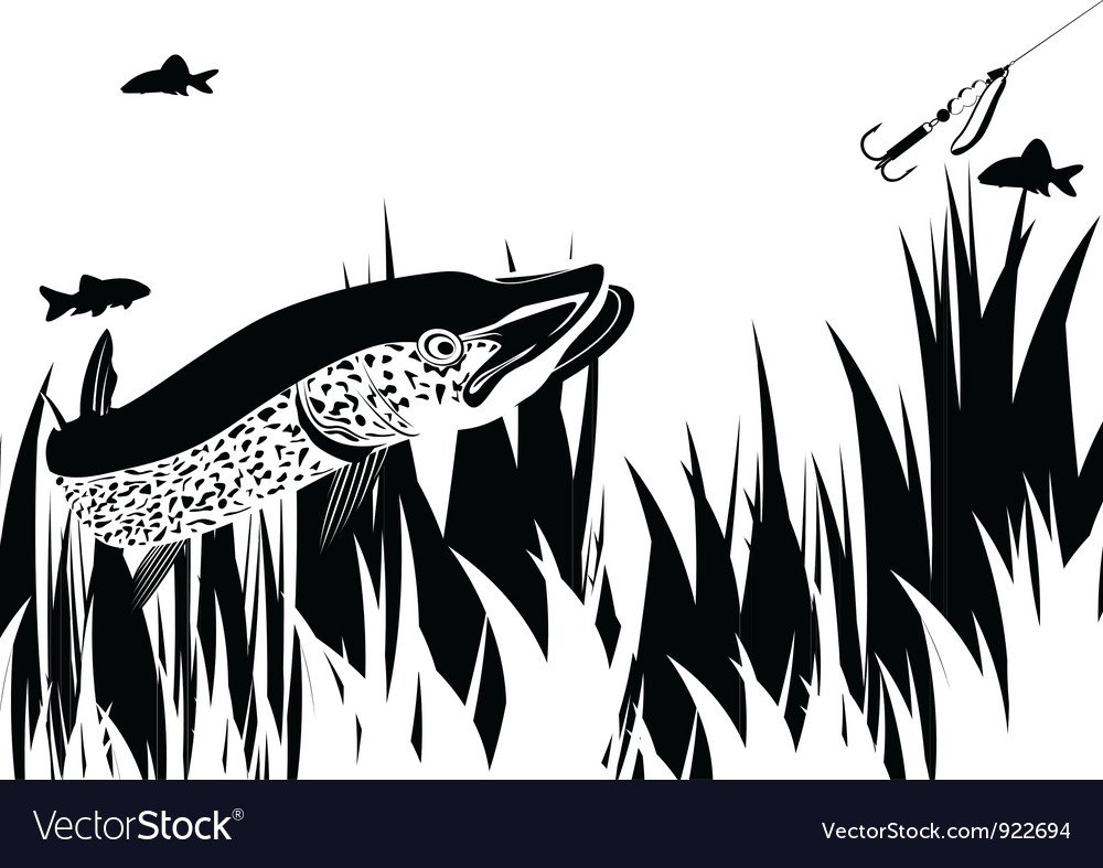 Орнамент щука