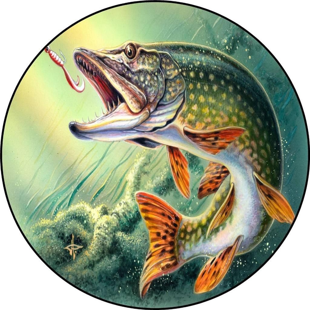 Аватарки рыбалка