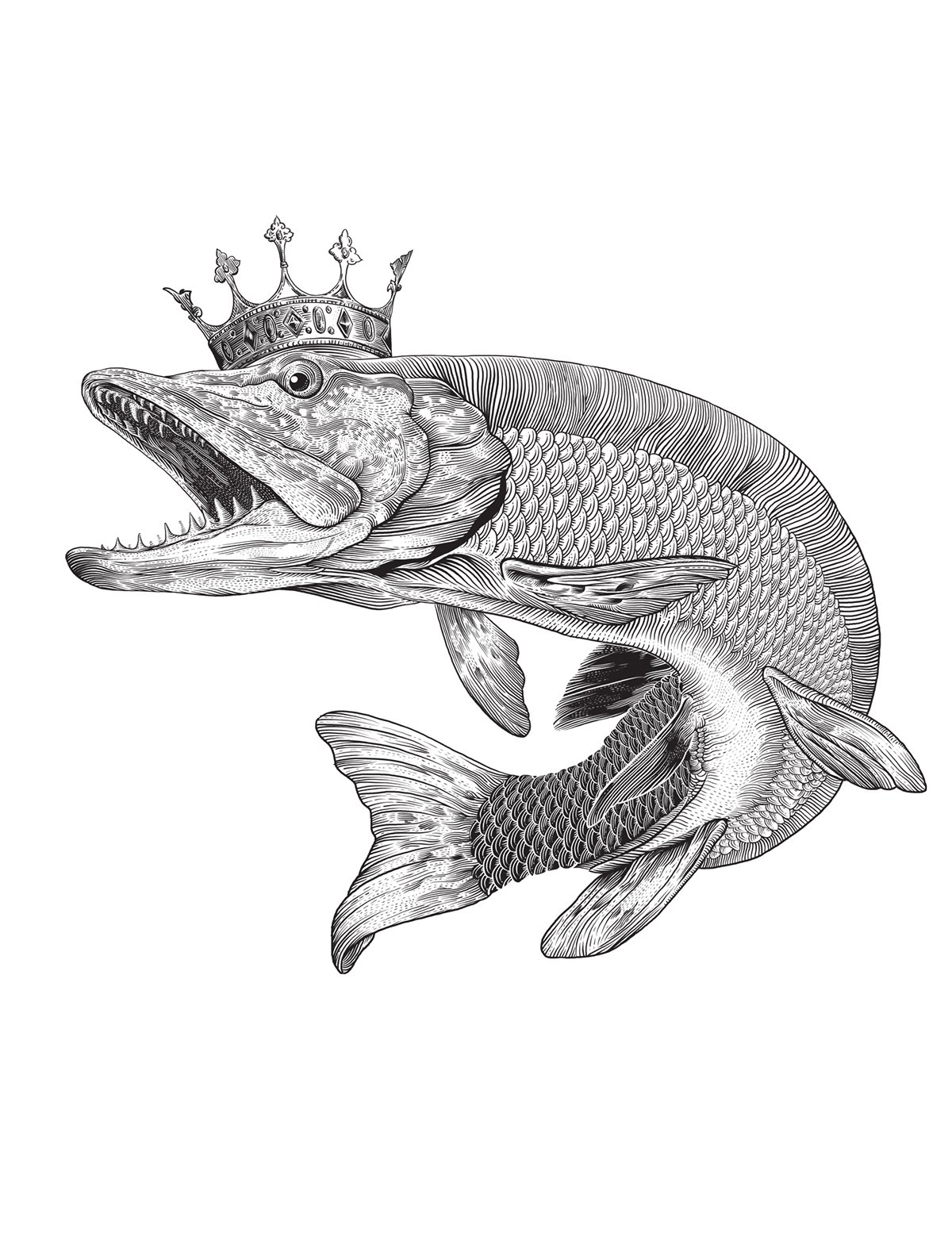 Наброски щуки