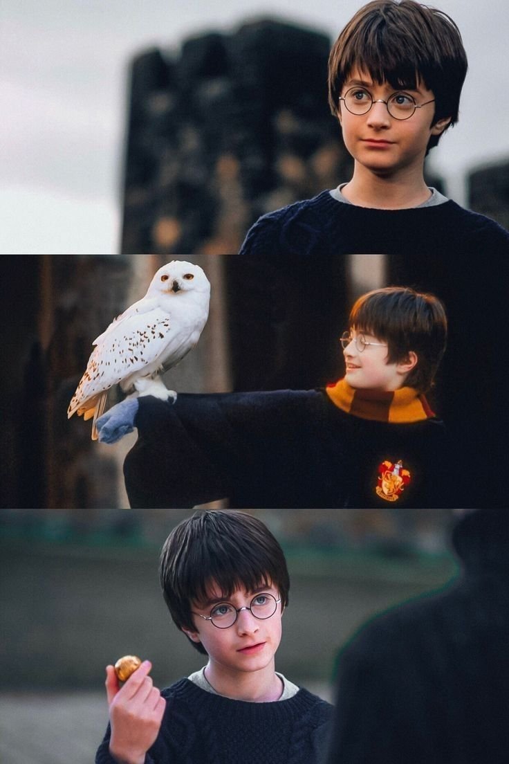Гарри Поттер в 2022 году