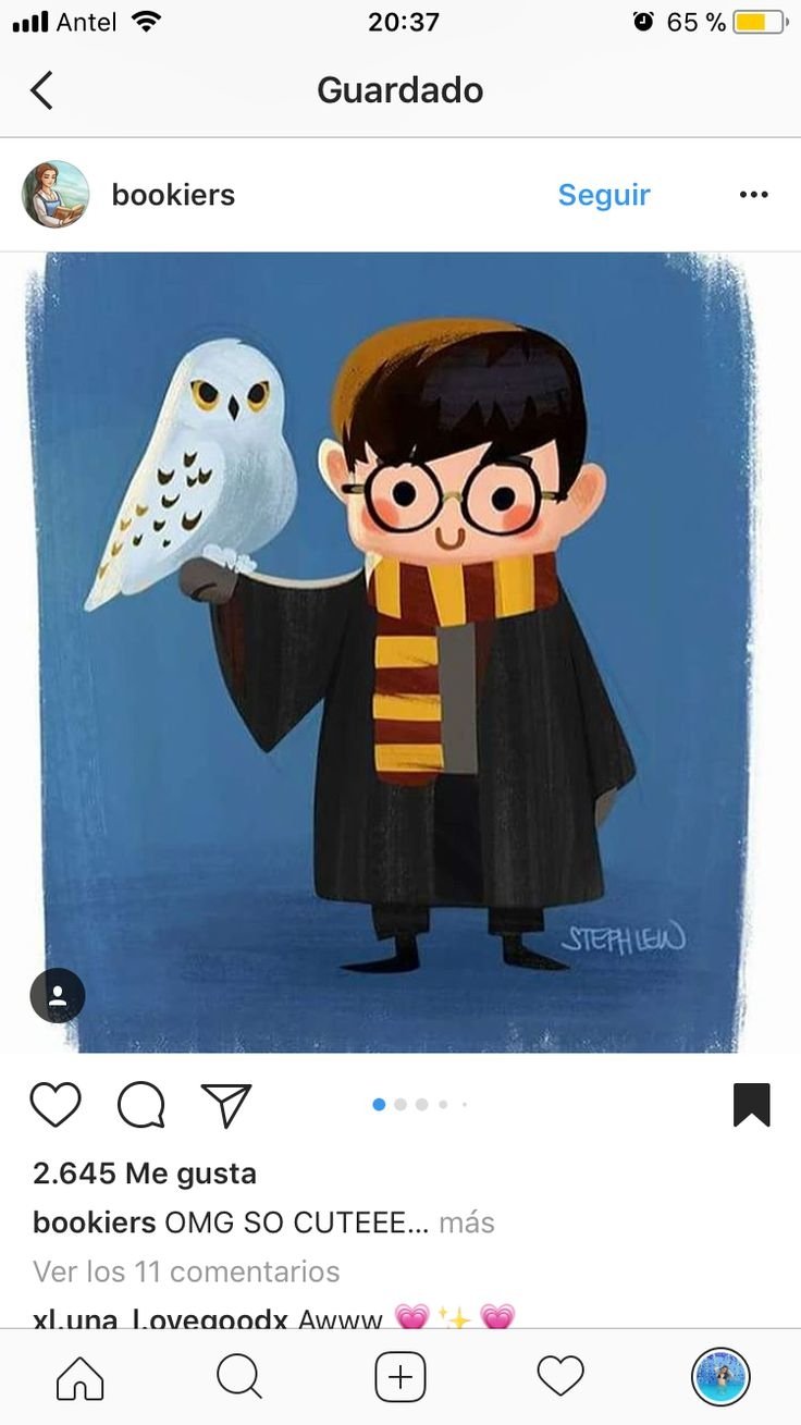 Гарри Поттер Букля арт