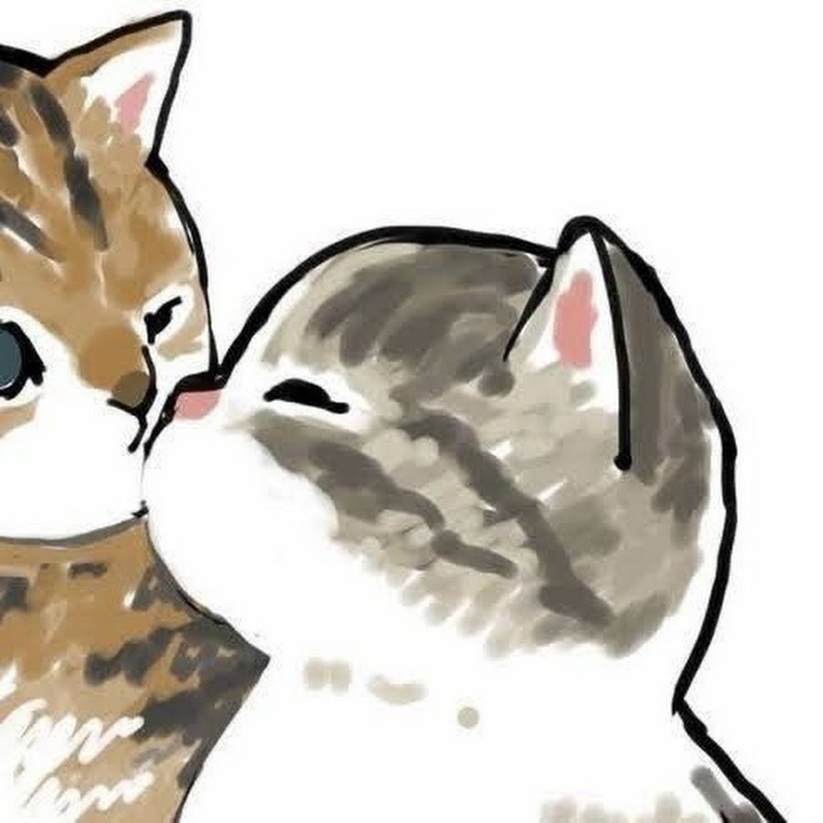 Парные аватарки с котиками разделенные в кружках