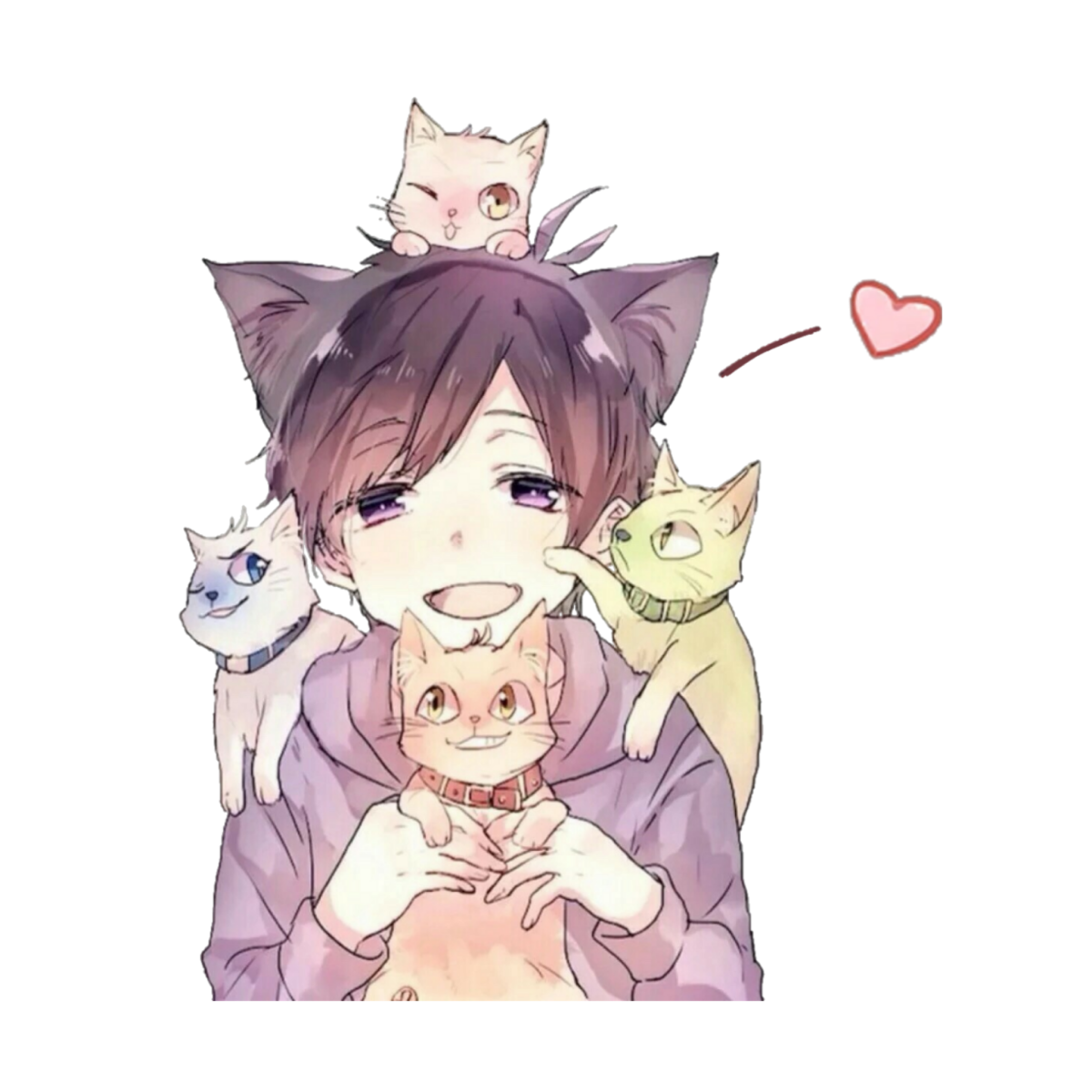 Парная ава котики