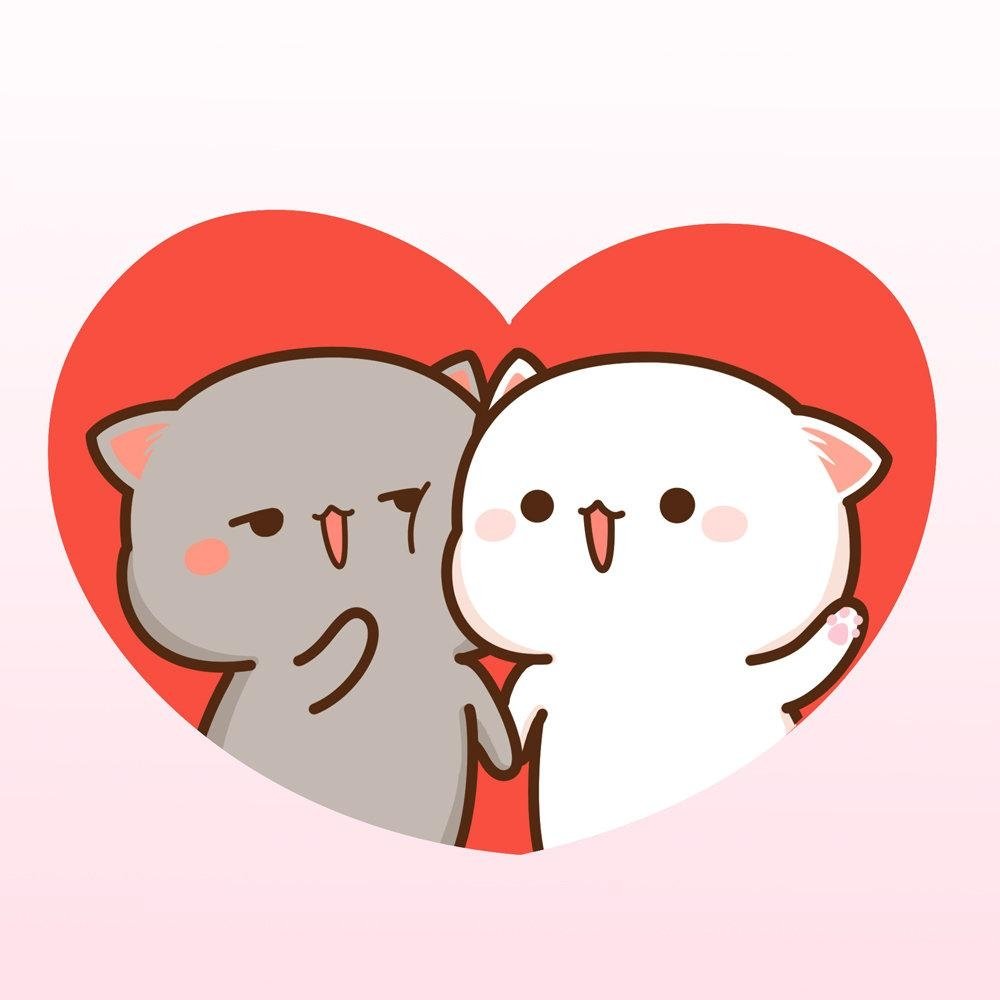 Кавай котики любовь