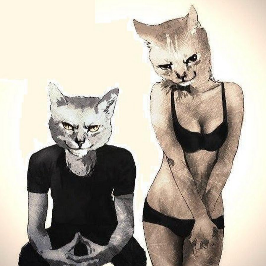 Кошка на голове у человека