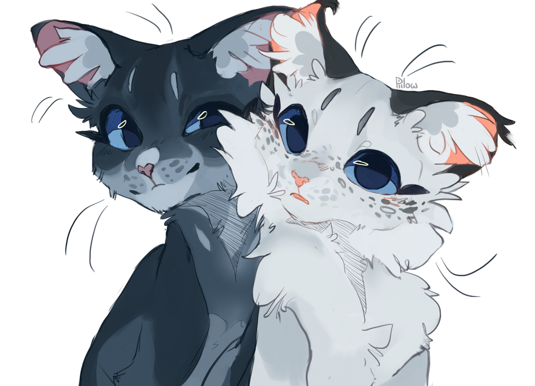 Коты Воители синяя звезда и Белогривка