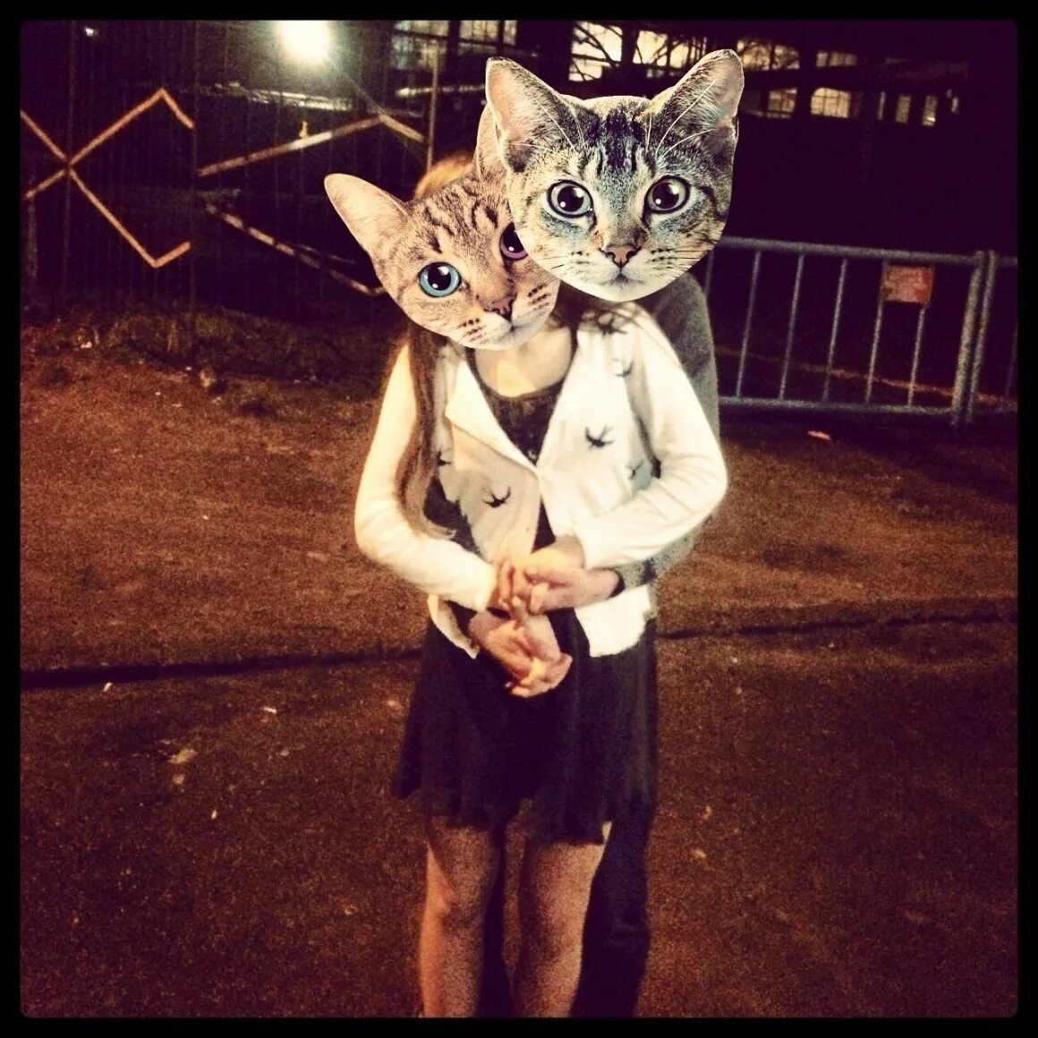 Парная ава коты