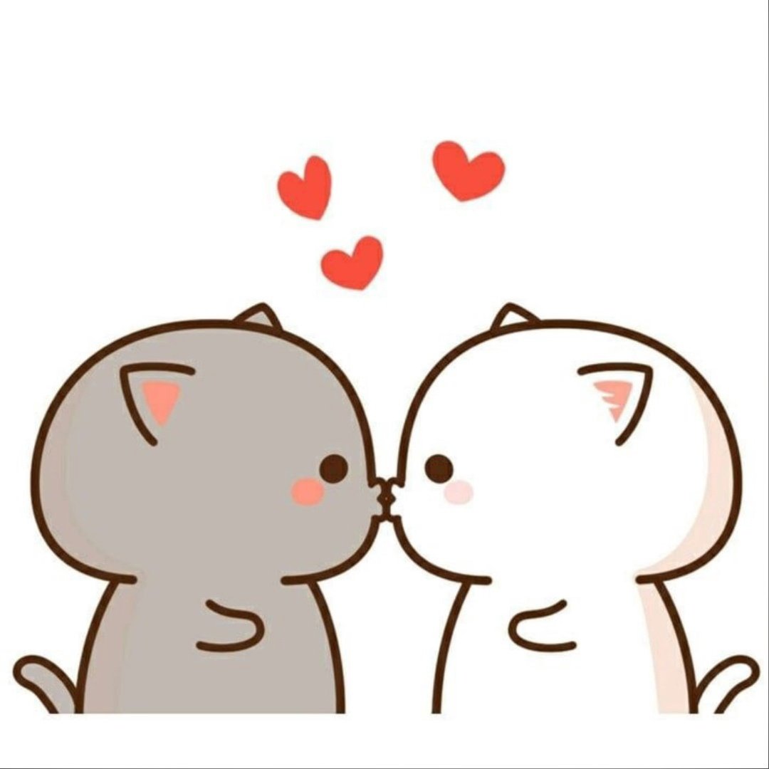 Кавайные котики любовь