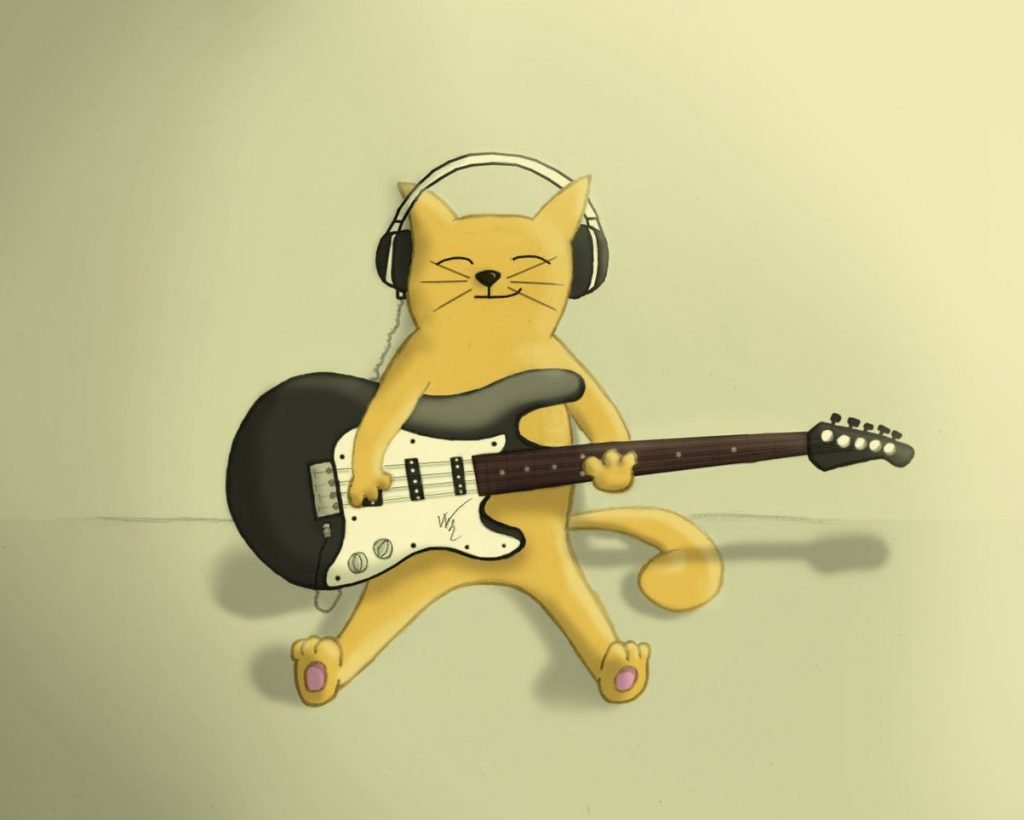 Гитарист акустика