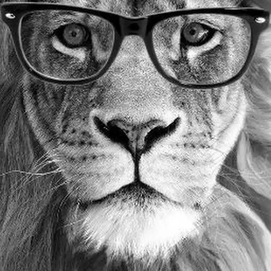 Лев в очках