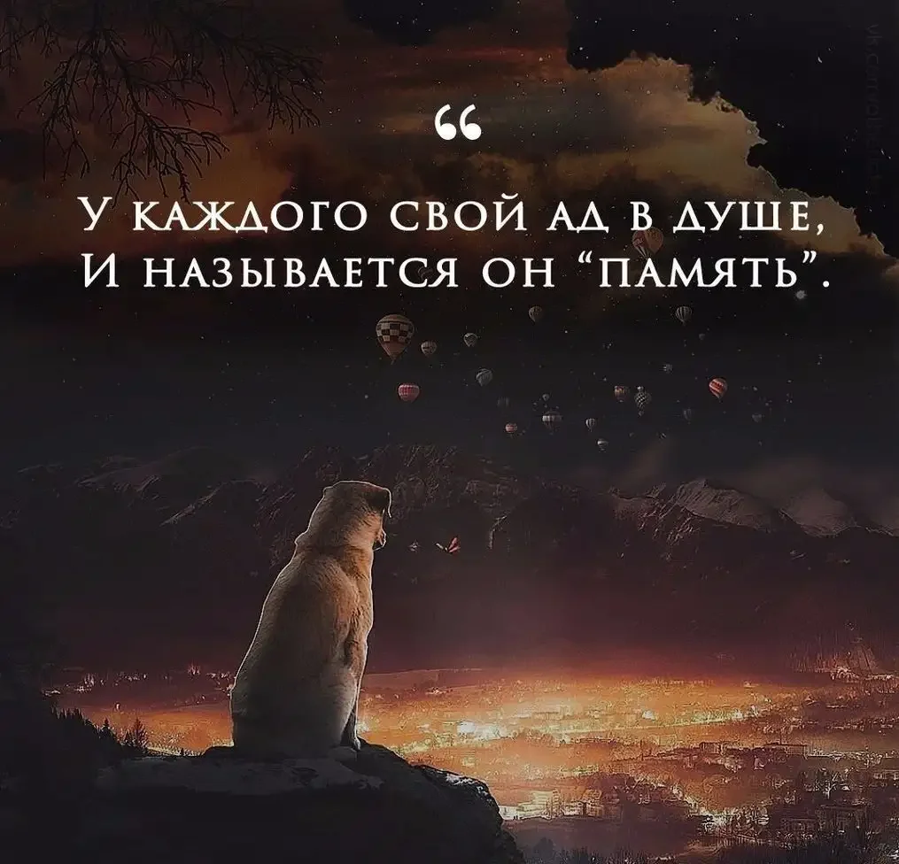 Красивые цитаты