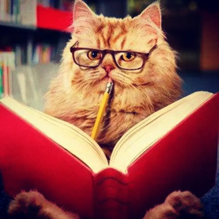 Кот в очках с книгой
