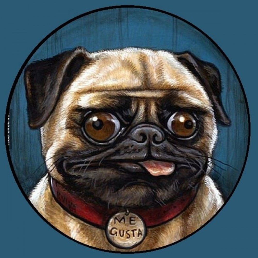 Мопс на аву