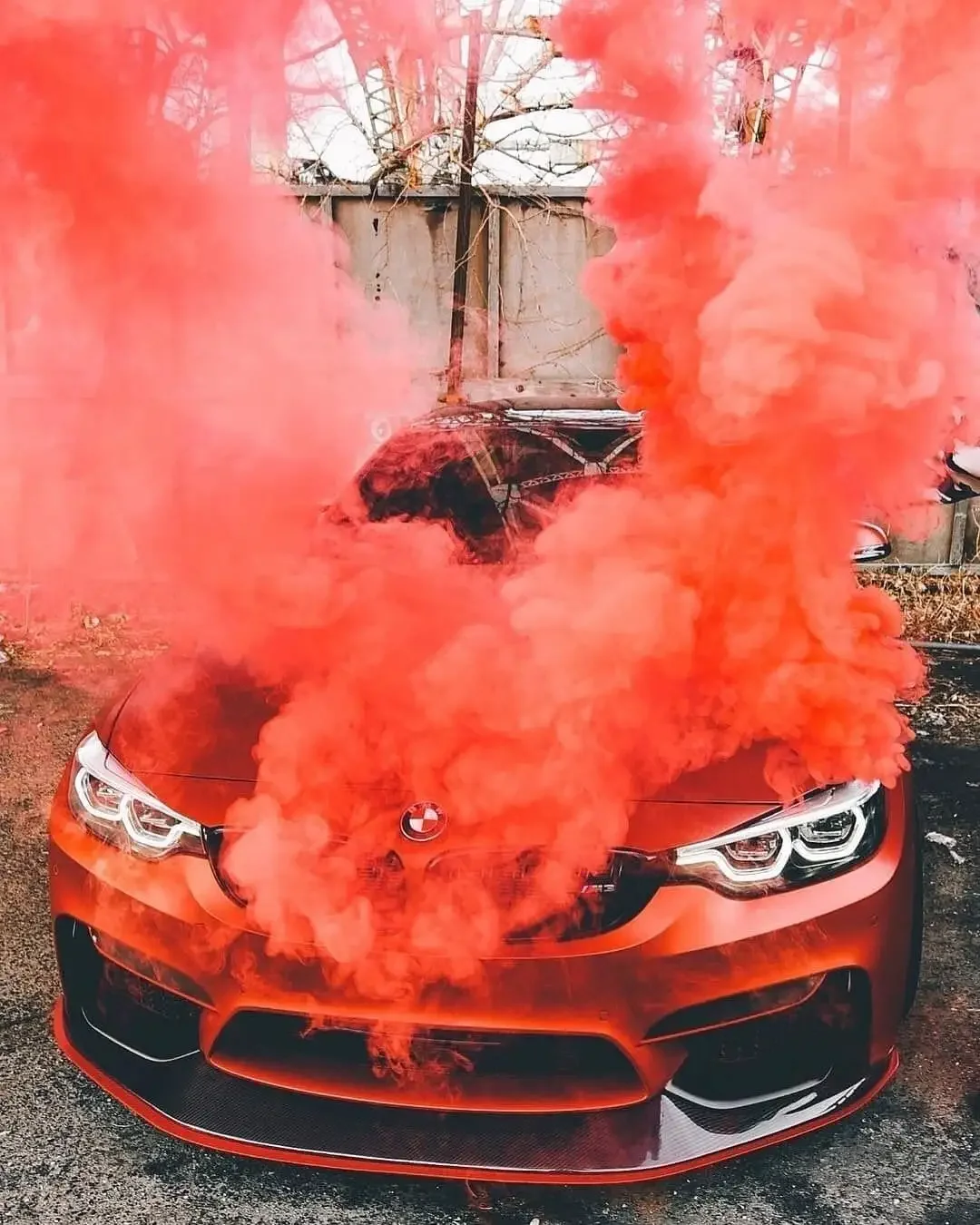 Девушка и БМВ