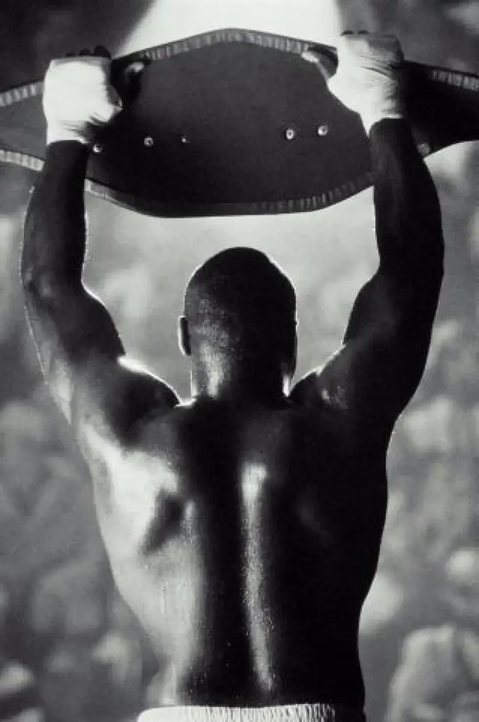 Боксерские авы