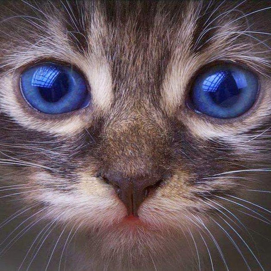 Аватарка от сглаза и порчи