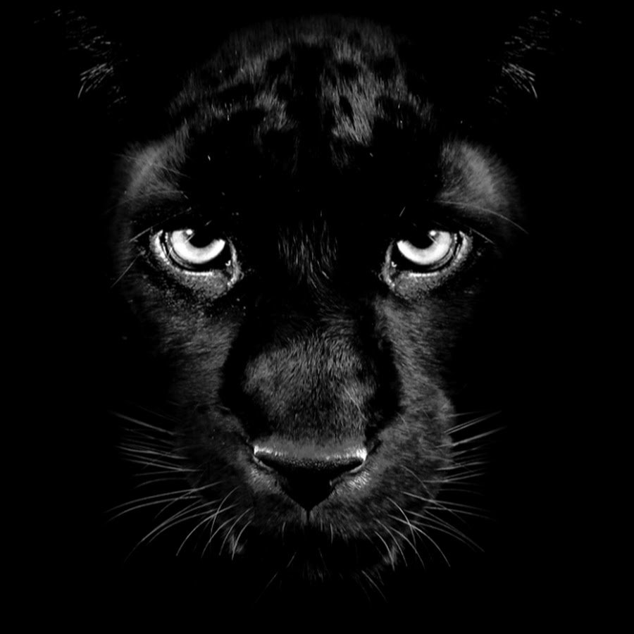 Черная аватарка