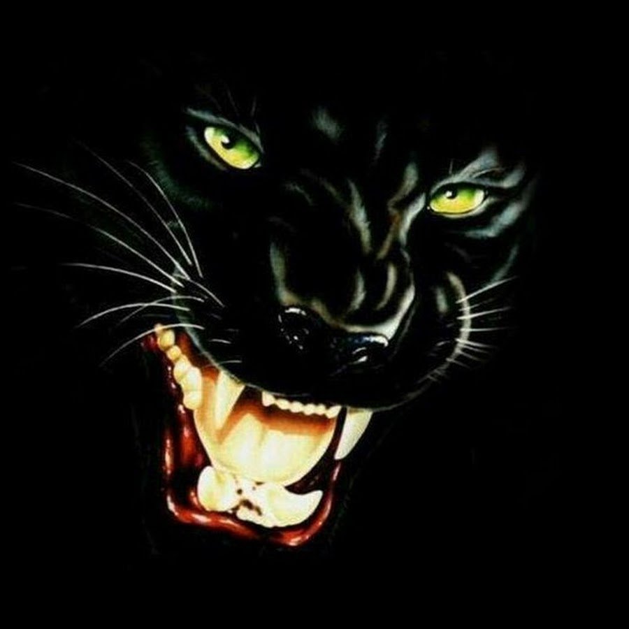 Оскал на черном фоне