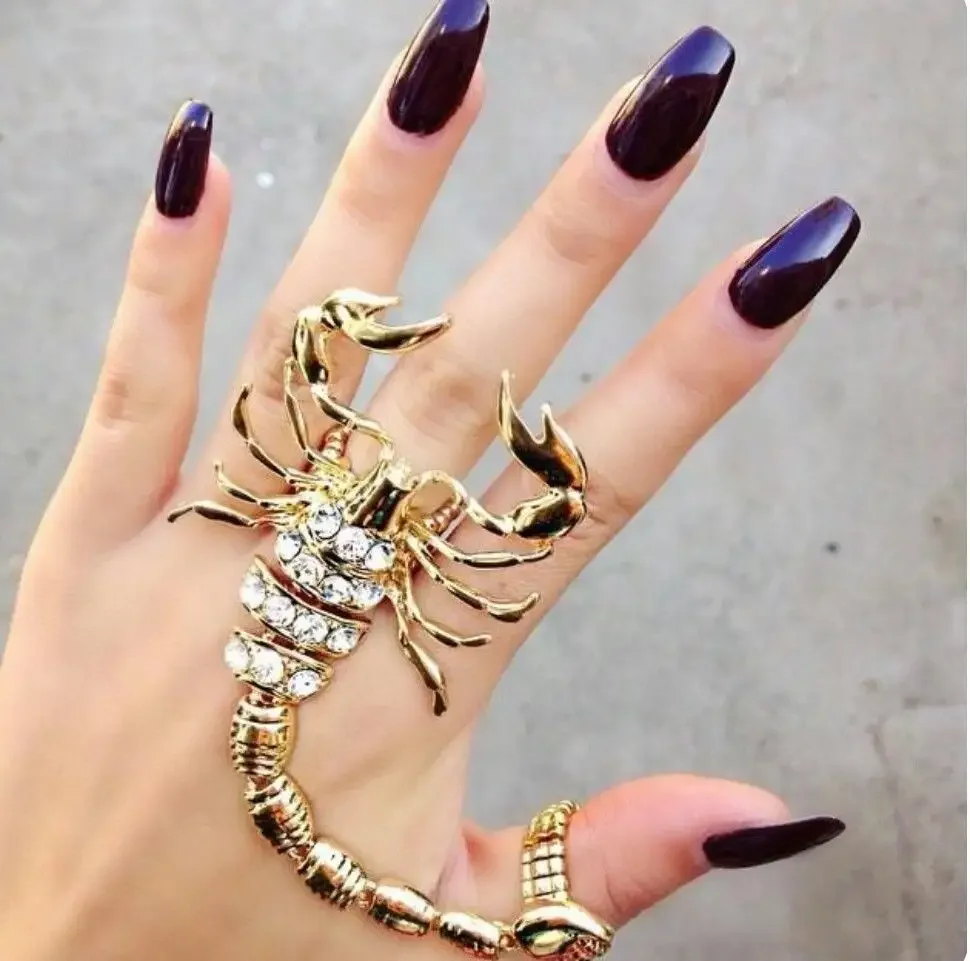 Гигантский Скорпион ДНД 5