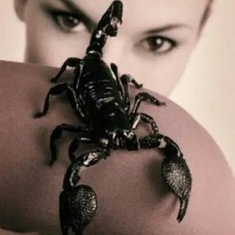 Женщина Скорпион