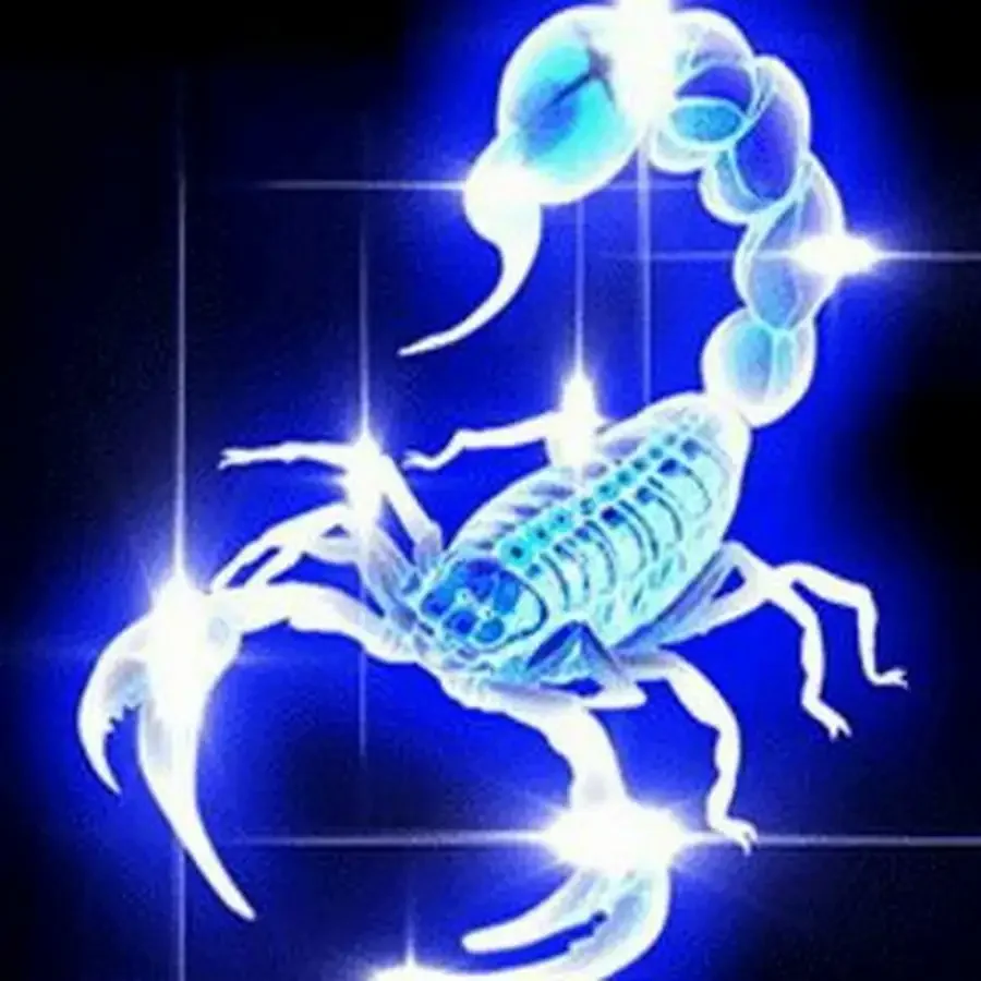 Красивый Скорпион