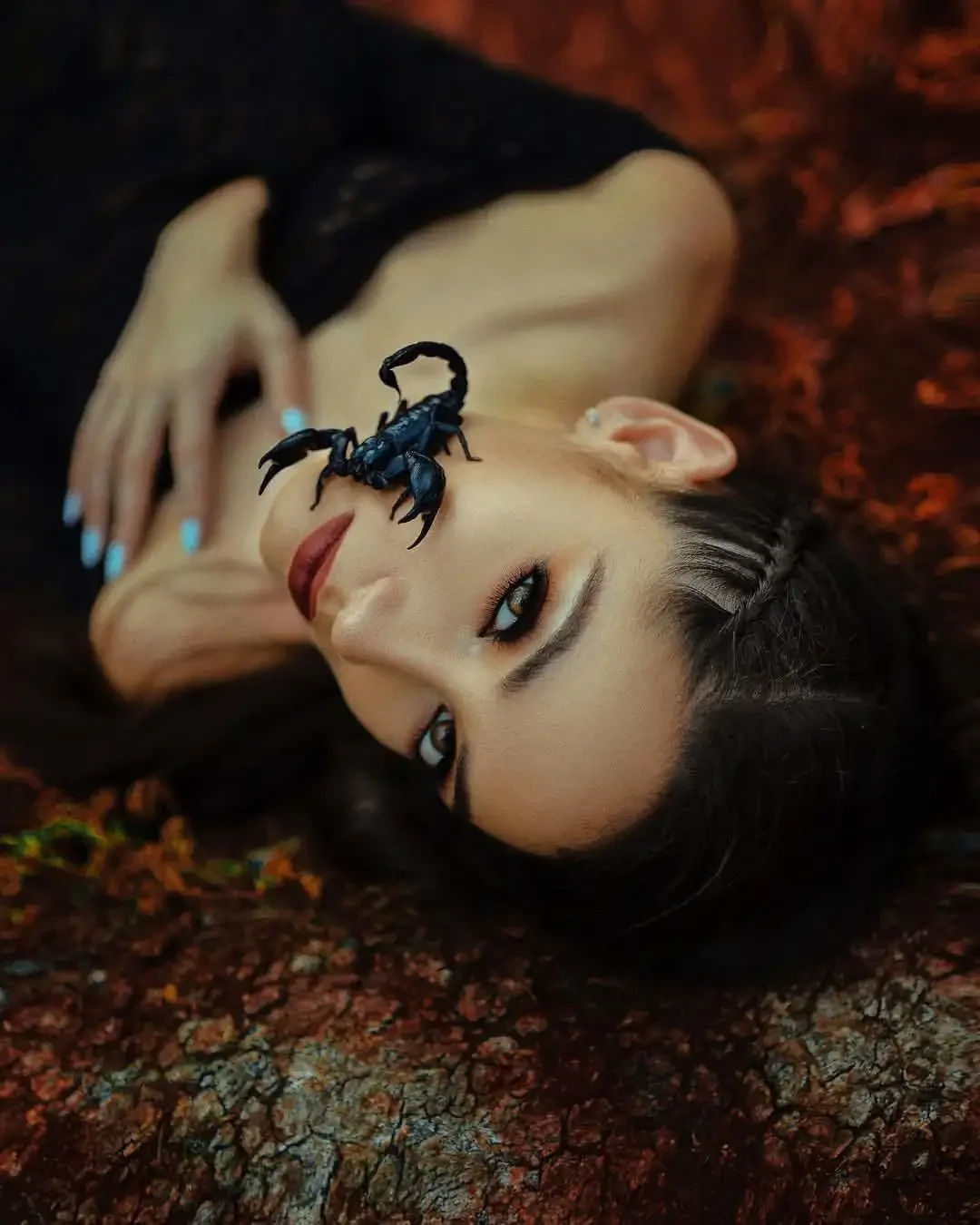 Скорпион картинки