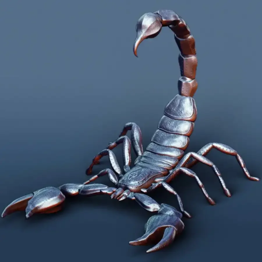 Скорпион на черном фоне