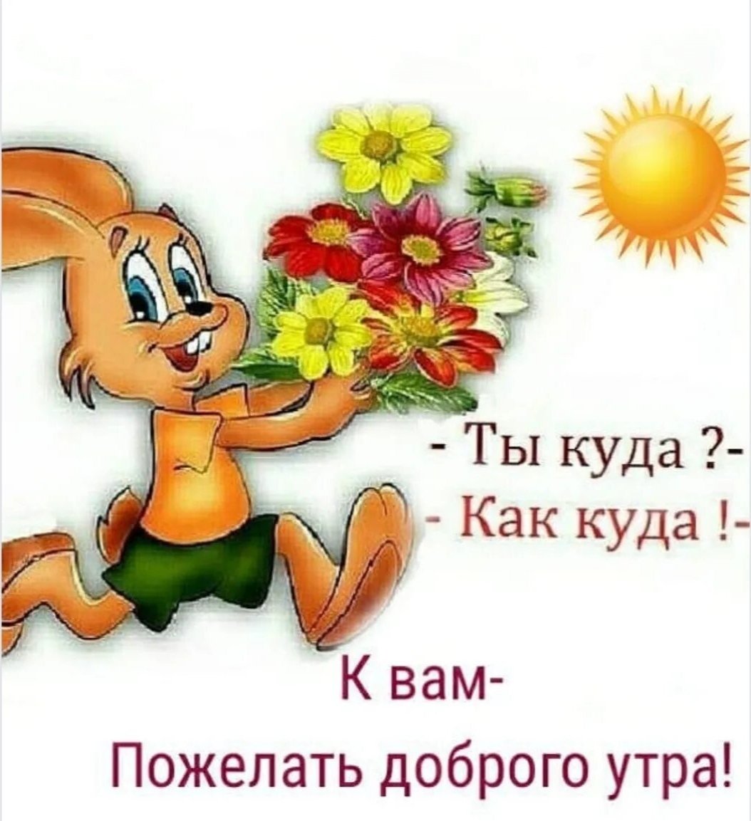 Кошка с короной на голове