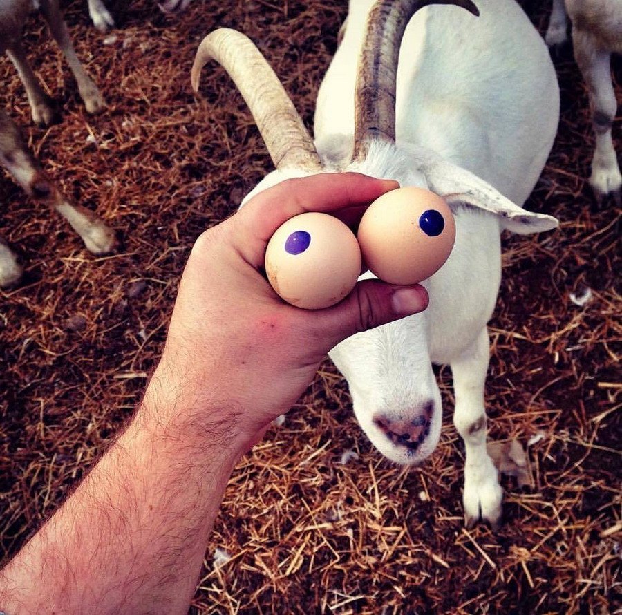 Девушка с цветами прикол