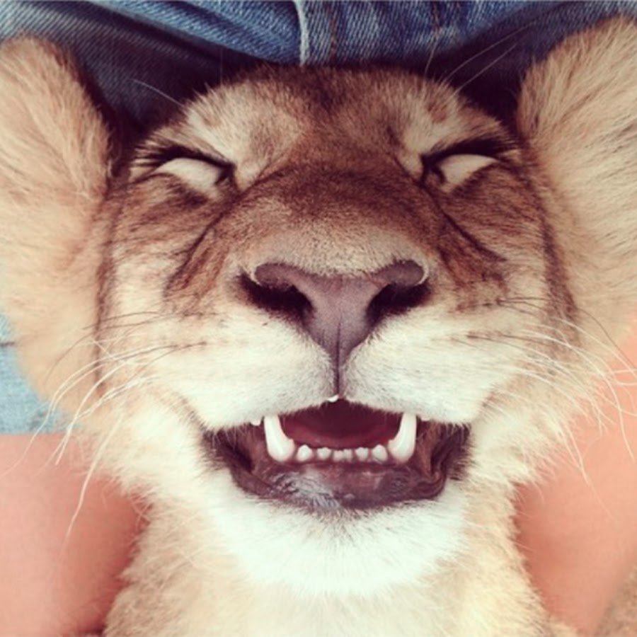 Влас Чернов